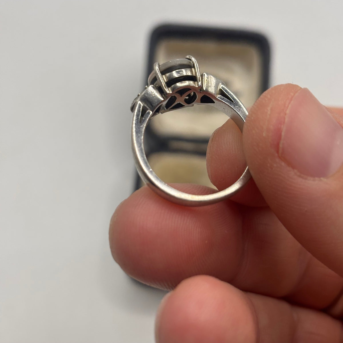 Silver Rare Ammolite Ring (N 1/2)