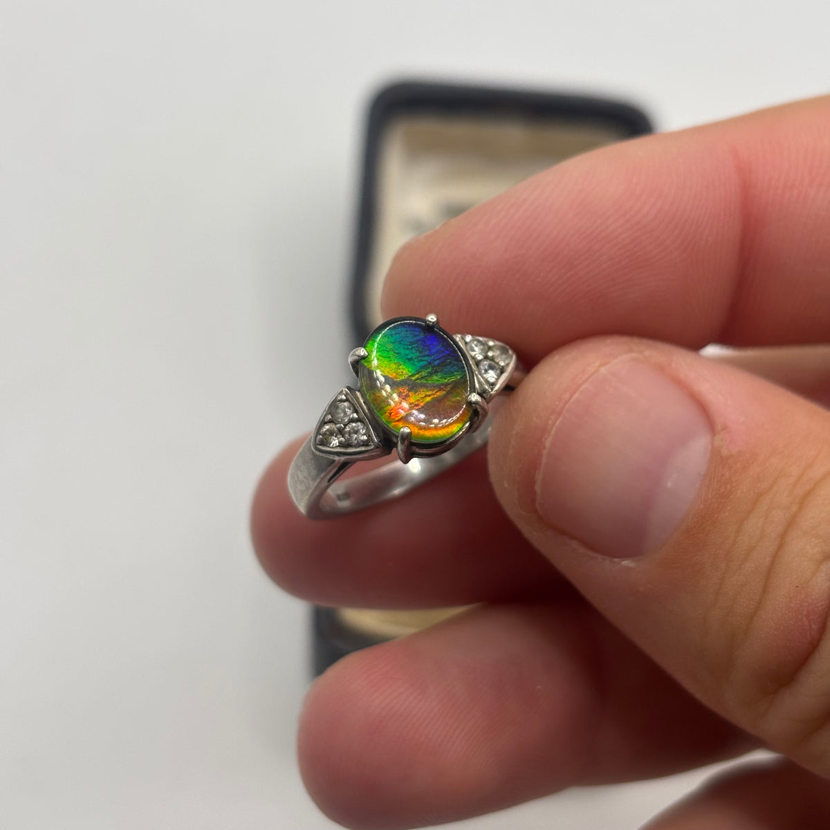 Silver Rare Ammolite Ring (N 1/2)