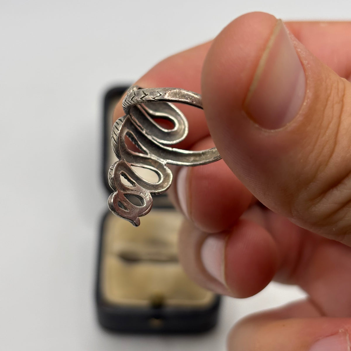 Silver Snake Ring (N)