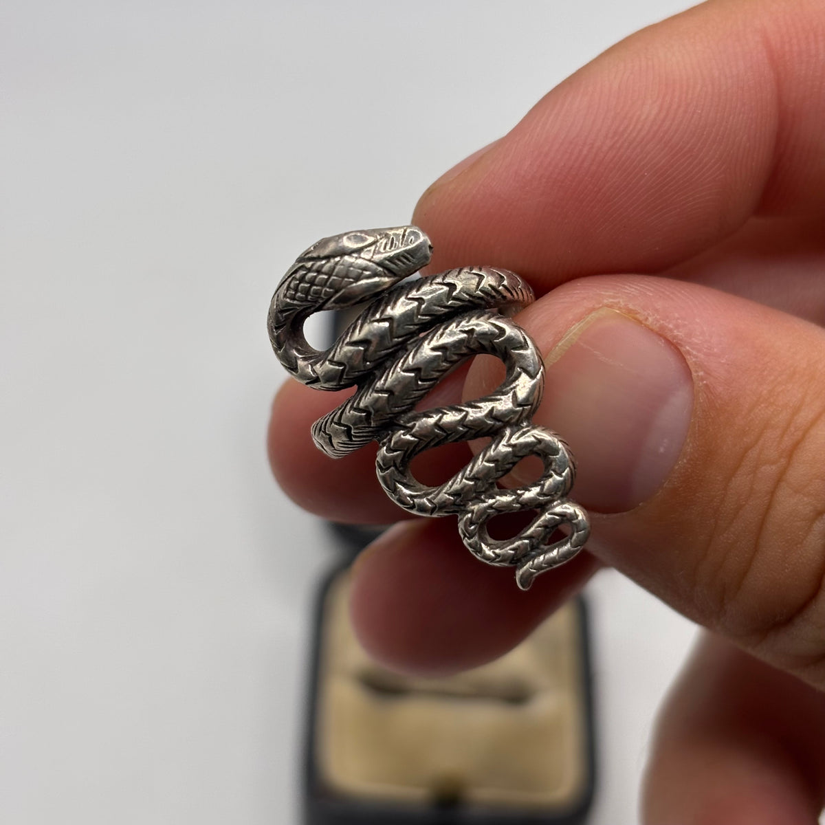 Silver Snake Ring (N)