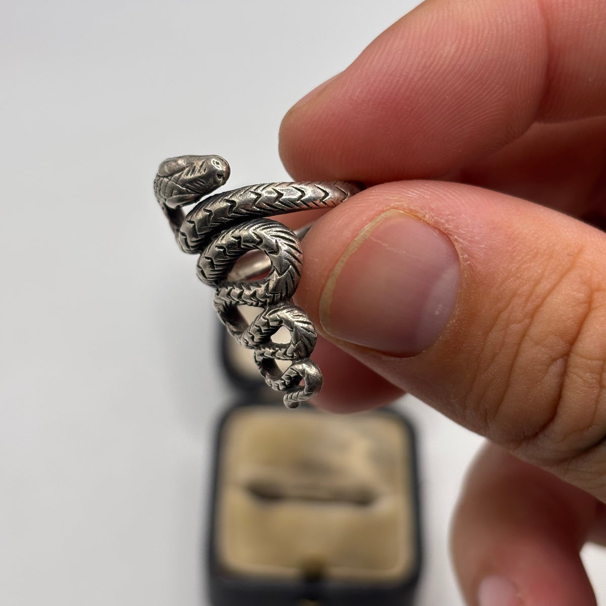 Silver Snake Ring (N)