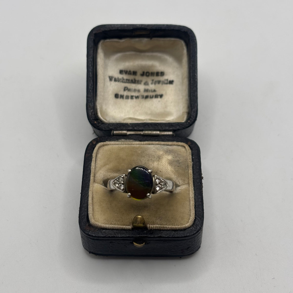 Silver Rare Ammolite Ring (N 1/2)