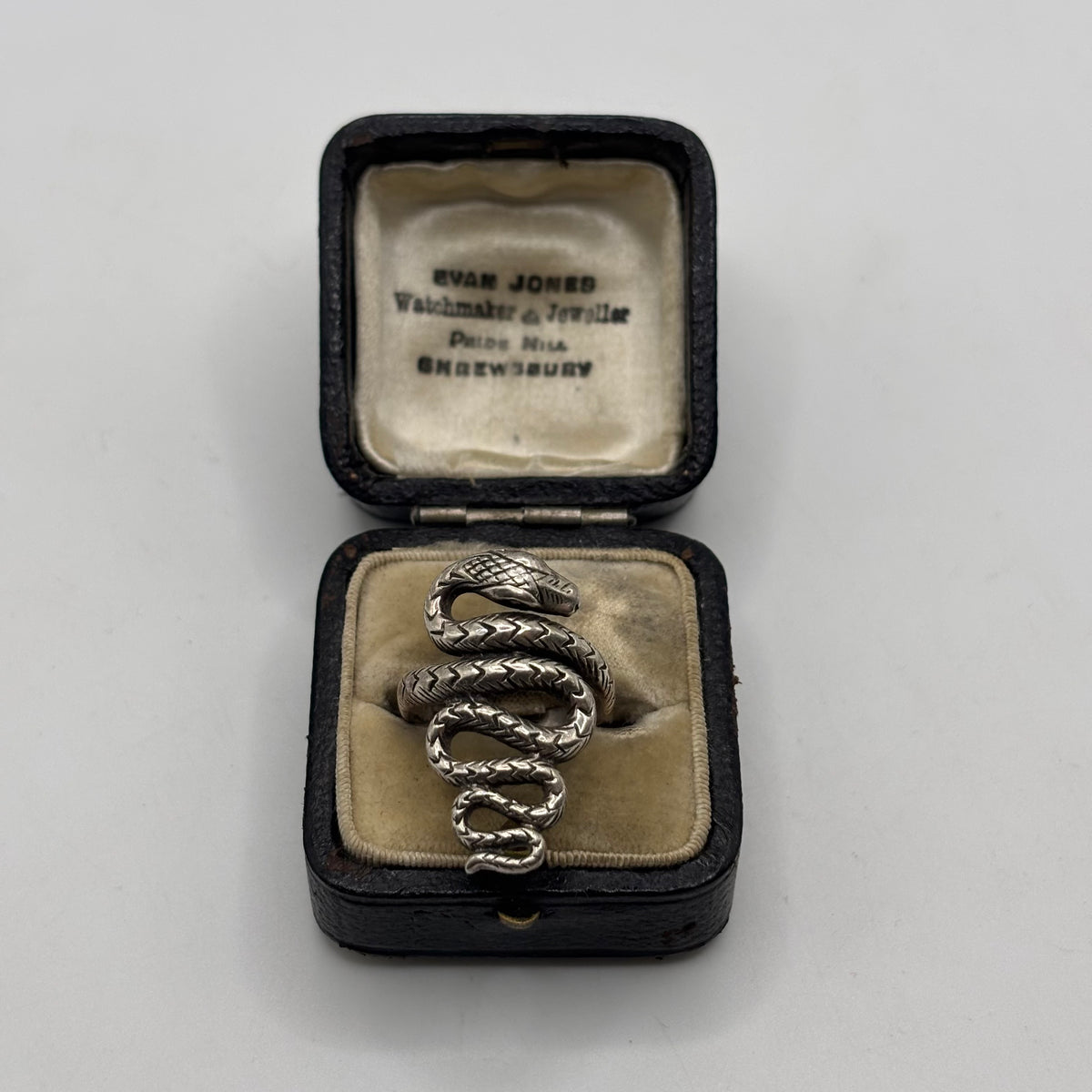 Silver Snake Ring (N)