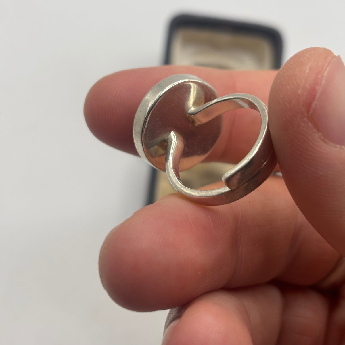 Silver Amazing Moonstone Ring (P)